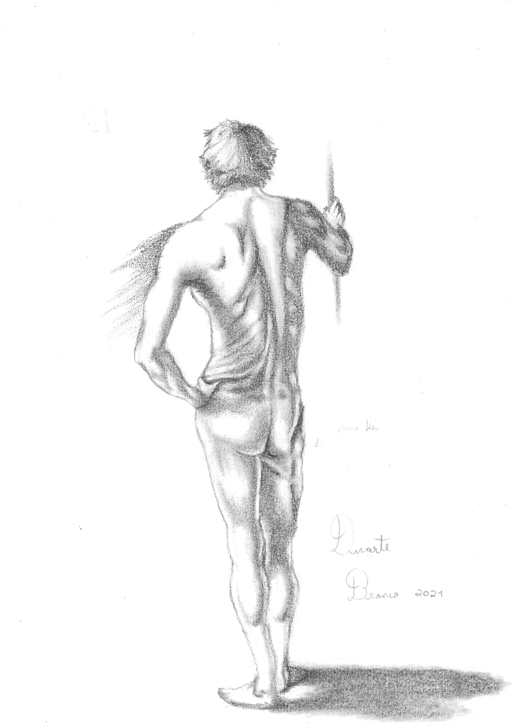 Man Back Study